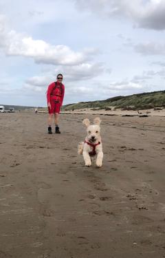Flying dog